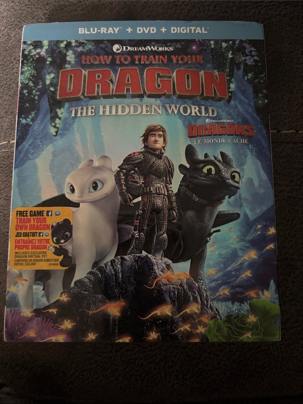 DreamWorks How to Train Your Dragon: The Hidden World — Blue & Black Cover